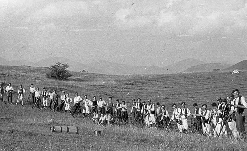 Ramski kosci na Crnom Vrhu 1962.